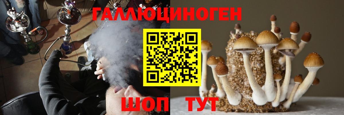 Аргун  Галлюциногенные грибы Psilocybe  Вход с VPN 